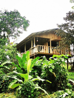 Papaya Lodge